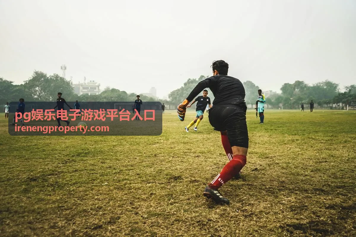 pg娱乐电子游戏平台入口 主入口直达页封面