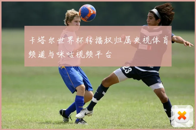 卡塔尔世界杯转播权归属央视体育频道与咪咕视频平台