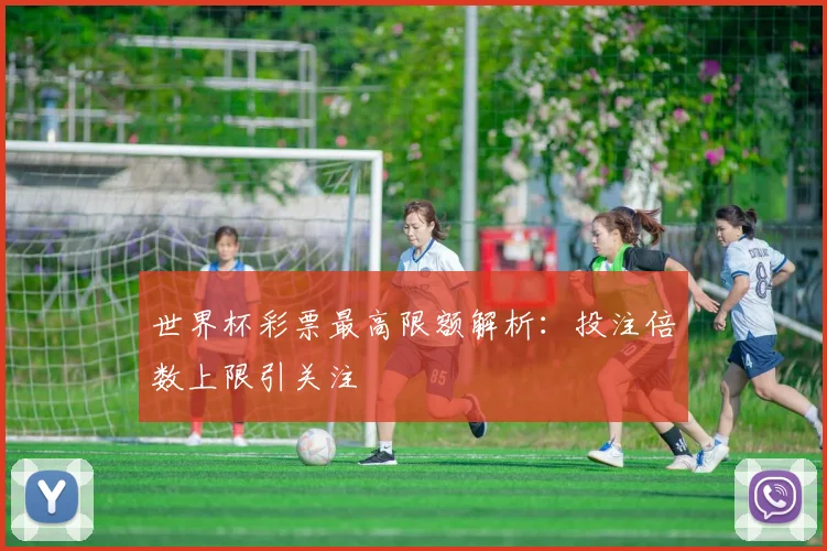世界杯彩票最高限额解析：投注倍数上限引关注