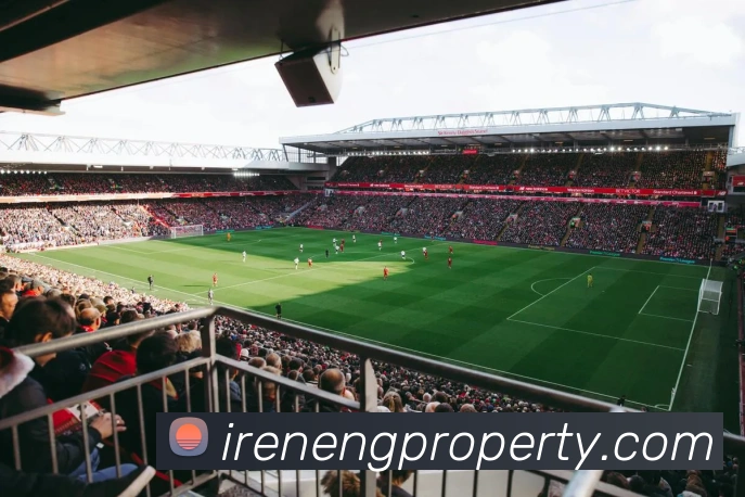 华会体育官网发展历程